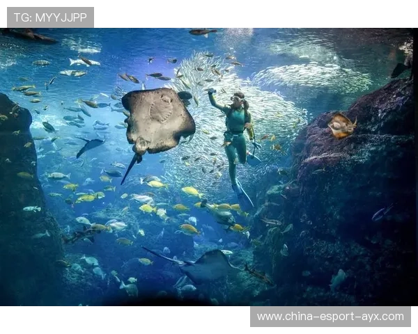 安提瓜举办个人极限运动挑战赛,安提瓜美食 安提瓜举办个人极限运动挑战赛,安提瓜美食